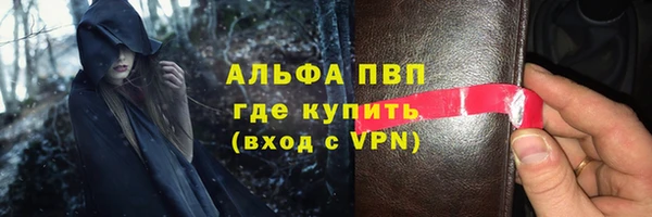 твердый Инта