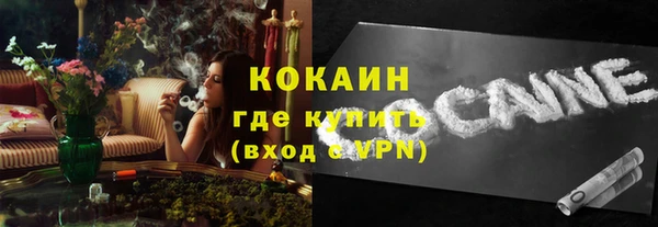 крисы Инсар