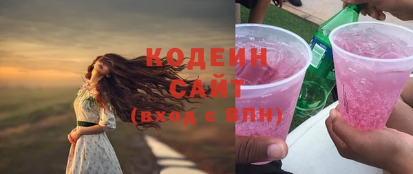 твердый Инта