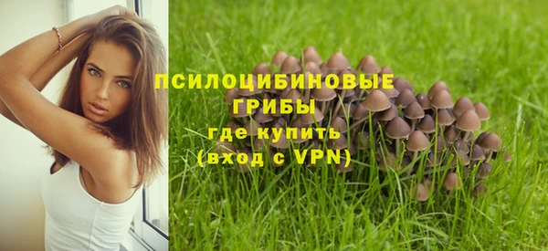 соль ск Зеленодольск