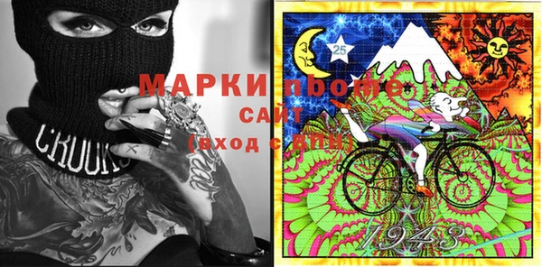 твердый Инта