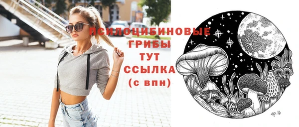 крисы Инсар
